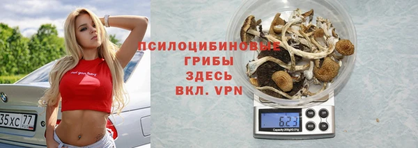 соль ск Карпинск