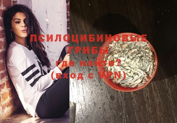 соль ск Карпинск